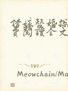 错嫁替婚总裁免费阅读全文