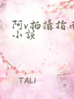 阿v拍摄指南说小说