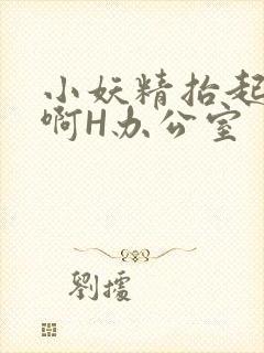 小妖精抬起臀嗯啊H办公室