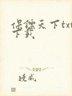 保镖天下txt下载