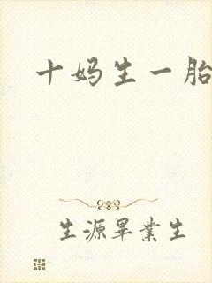 十妈生一胎
