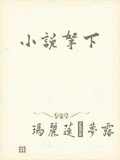 小说拿下