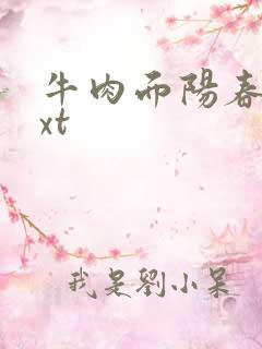 牛肉面阳春面txt