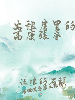 出租房里的交互高康张睿