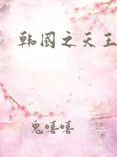 韩国之天王