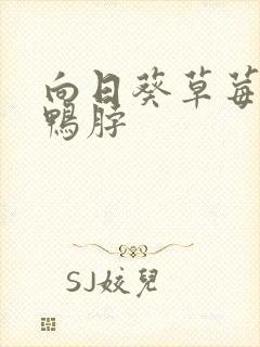 向日葵草莓丝瓜鸭脖