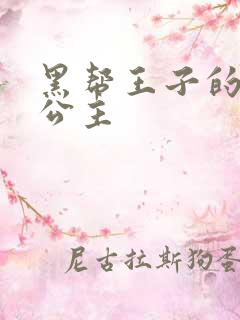 黑帮王子的淘气公主