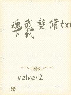 魂武双修txt下载