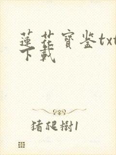 莲花宝鉴txt下载