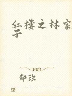 红楼之林家庶长子