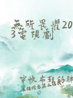 无所畏惧2023电视剧