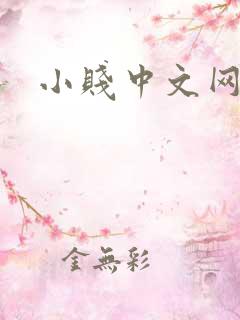 小贱中文网