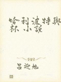 哈利波特与火焰杯 小说