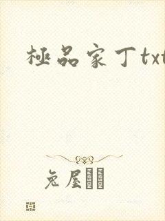 极品家丁txt