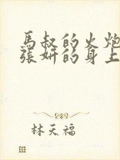 马叔的火炮顶在张妍的身上