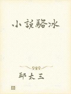 小说骆冰