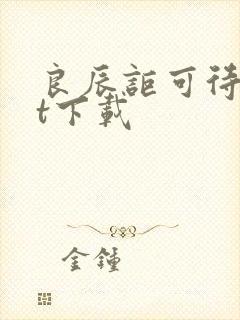 良辰讵可待txt下载