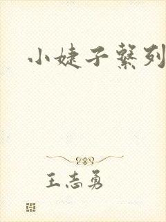 小婕子系列小说