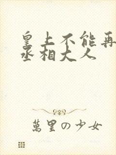 皇上不能再进了丞相大人