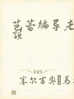 芭蕾编导老师小说