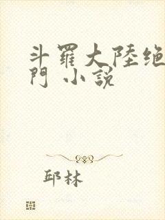 斗罗大陆绝世唐门 小说