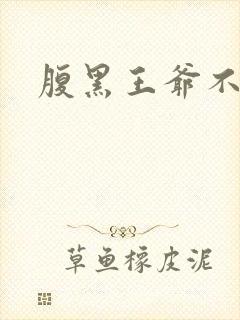 腹黑王爷不良妻