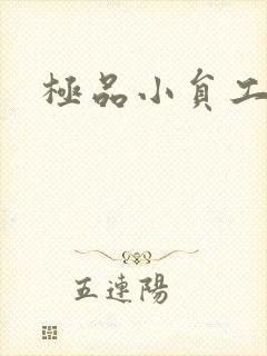 极品小员工