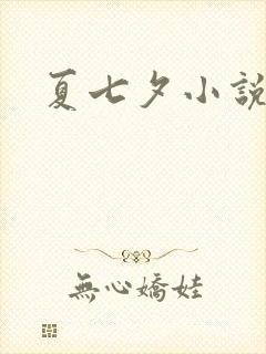 夏七夕小说