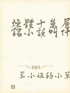 炼体十万层轩辕铭小说叫什么