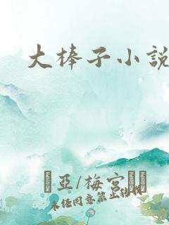 大棒子小说