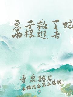 兔子救了蛇被蛇两根进去