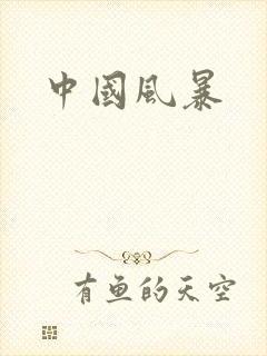中国风暴