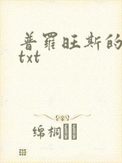 普罗旺斯的一年txt