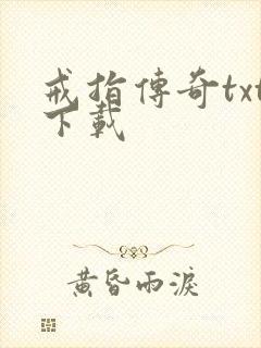 戒指传奇txt下载