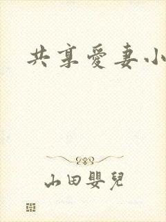共享爱妻小说