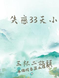 失恋33天小说