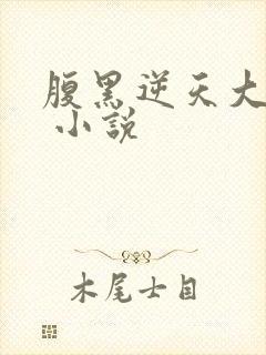 腹黑逆天大小姐 小说