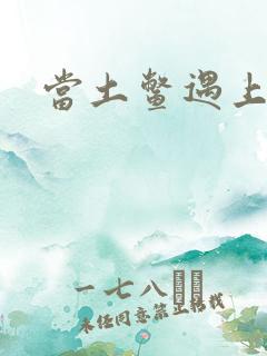 当土鳖遇上海龟