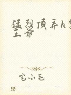 猛烈顶弄h禁欲王爷