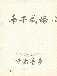 奉子成婚 小说
