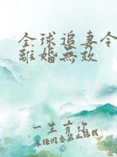 全球追妻令老婆离婚无效