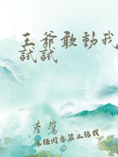 王爷敢动我妈咪试试
