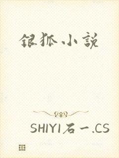 银狐小说