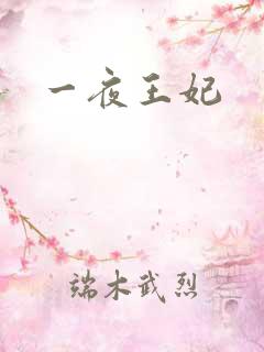 一夜王妃