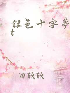 银色十字梦txt