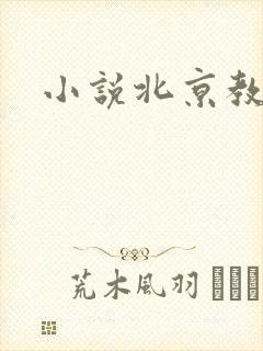 小说北京教父