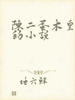 陈二蛋木皇真经的小说