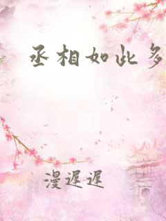 丞相如此多娇