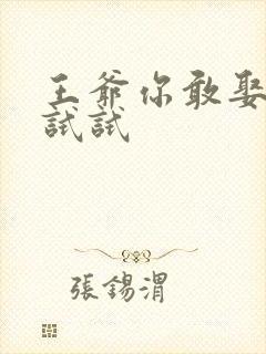 王爷你敢娶小三试试