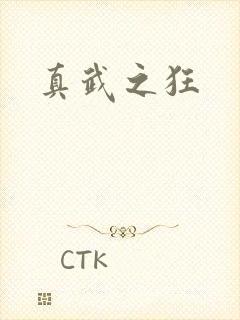真武之狂